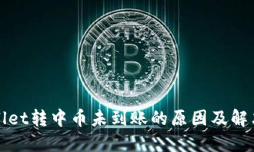 TPWallet转中币未到账的原因及解决方案