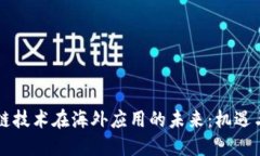 区块链技术在海外应用的未来：机遇与挑战