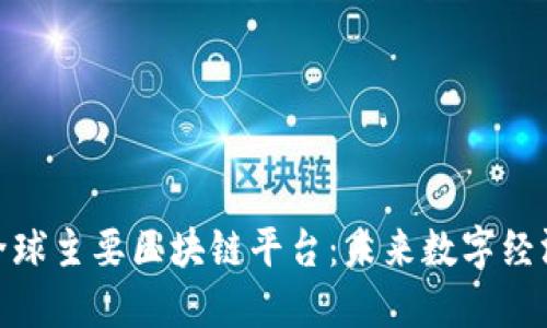 : 探索全球主要区块链平台：未来数字经济的基石