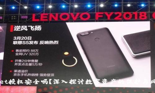 TPWallet授权安全吗？深入探讨数字资产的保护与风险分析