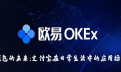 数字钱包的未来：支付宝在日常生活中的应用场