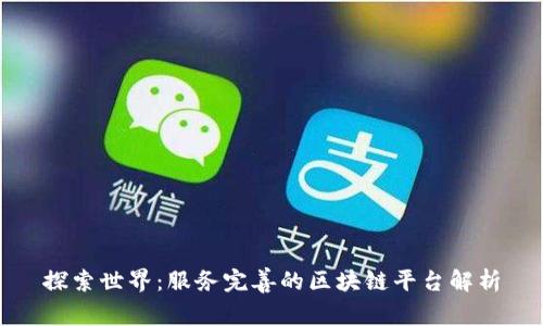 探索世界：服务完善的区块链平台解析