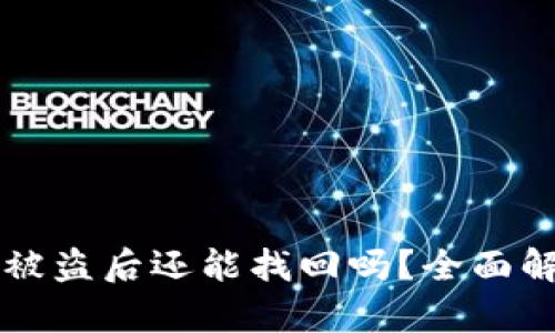 tpWallet授权被盗后还能找回吗？全面解析与解决方案