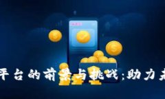 区块链开发平台的前景与挑战：助力未来数字经