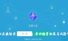 揭秘区块链项目投资平台：新兴投资机遇与风险