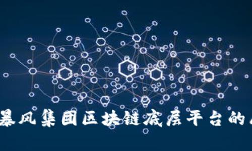 打造未来：暴风集团区块链底层平台的愿景与创新