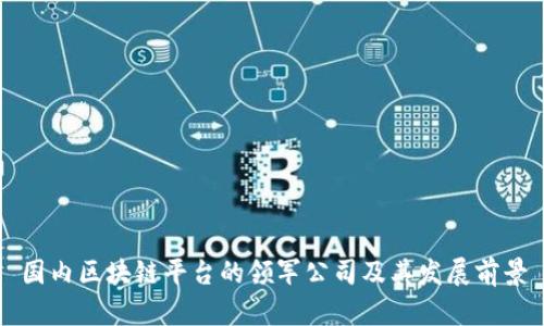 国内区块链平台的领军公司及其发展前景