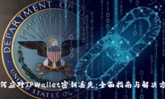 如何应对TPWallet密钥丢失：全面指南与解决方案