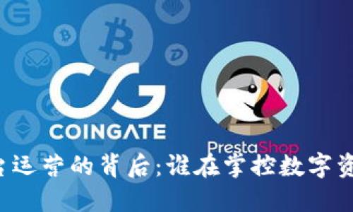 区块链平台运营的背后：谁在掌控数字资产的未来？