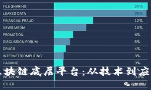 构建稳固的区块链底层平台：从技术到应用的全面指南