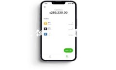 TPWallet 是一种多链数字钱包，它的功能主要是用