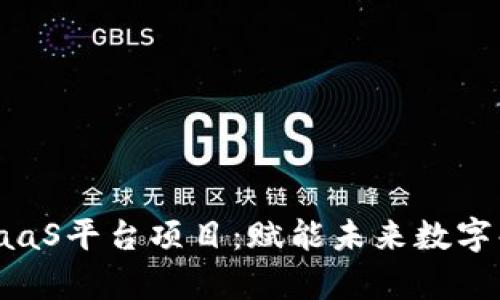 探索区块链PaaS平台项目：赋能未来数字化的崭新时代