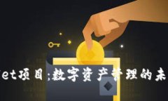 TPWallet项目：数字资产管理的未来之选