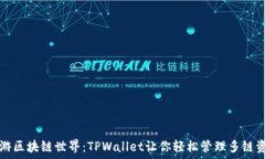   畅游区块链世界：TPWallet让你轻松管理多链资产