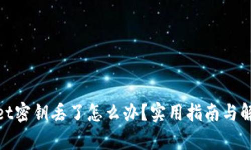 tpwallet密钥丢了怎么办？实用指南与解决方案