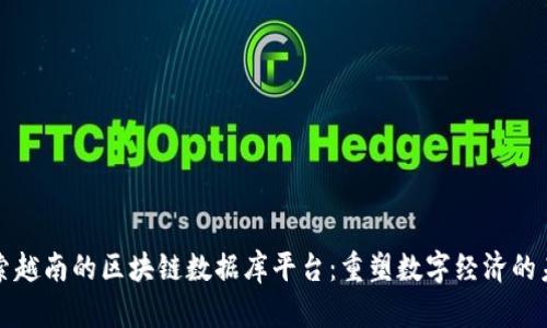 探索越南的区块链数据库平台：重塑数字经济的未来