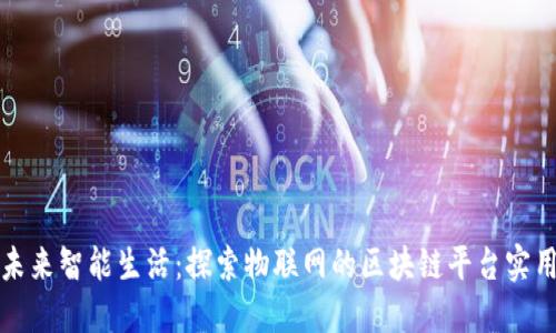 构建未来智能生活：探索物联网的区块链平台实用价值