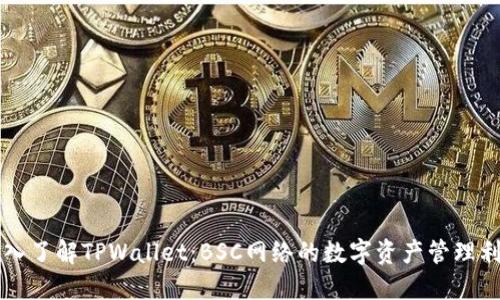 深入了解TPWallet：BSC网络的数字资产管理利器