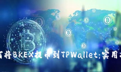 如何将BKEX提币到TPWallet：实用指南