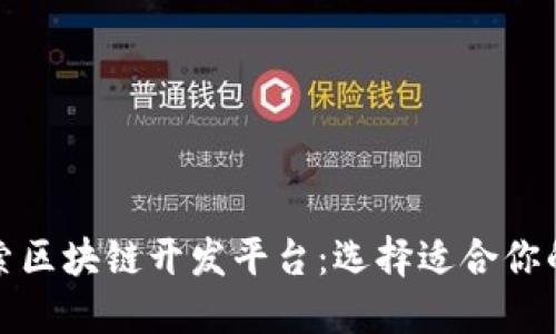 深入探索区块链开发平台：选择适合你的技术栈