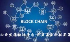 国内开发区块链平台：开启未来科技新篇章