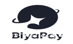 如何安全快捷地将TP Wallet中的USDT转回交易所？