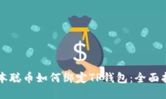 中本聪币如何绑定TP钱包：全面指南