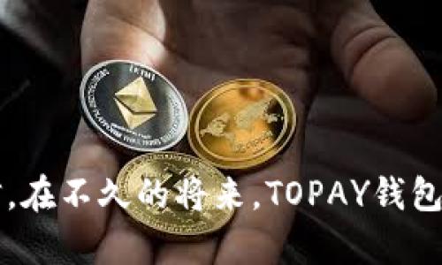 TOPAY钱包是一种数字钱包，主要用于加密货币和区块链资产的管理。它具备多种功能，如安全存储、转账、支付、兑换等，旨在为用户提供一个便捷、安全的数字资产管理解决方案。在现代社会，随着加密货币的普及和区块链技术的不断发展，数字钱包的使用变得越来越重要。接下来我将详细介绍TOPAY钱包的特性、优势和使用场景。

什么是TOPAY钱包
TOPAY钱包是一款基于区块链技术的数字钱包，支持多种加密货币的存储与管理。与传统金融钱包不同，TOPAY钱包强调用户的隐私与安全性，利用先进的加密技术确保用户资产不受到威胁。

TOPAY钱包的主要功能
TOPAY钱包具备多种核心功能，每一项功能都是为了解决用户在管理数字资产时可能遇到的问题，这些功能包括但不限于：
ul
    listrong安全存储：/strong采用冷存储与热存储结合的方式，确保用户资产的安全。/li
    listrong转账功能：/strong用户可以快捷地进行加密货币之间的转账，只需输入对方地址即可完成。/li
    listrong支付功能：/strong支持商家和用户间的付款操作，方便用户日常支出。/li
    listrong资产兑换：/strong允许用户在应用内部进行不同加密货币之间的兑换，提升资金流动性。/li
/ul

TOPAY钱包的优势
使用TOPAY钱包有诸多优势，其中包括：
ul
    listrong用户友好界面：/strong设计简洁直观，适合不同层次的用户使用，无论是新手还是经验丰富的投资者。/li
    listrong强大的安全措施：/strong提供多重身份验证、冷存储等安全功能，保护用户免受黑客攻击。/li
    listrong跨平台支持：/strong支持多种设备（手机、电脑等）之间的数据同步，让用户随时随地管理资产。/li
/ul

如何使用TOPAY钱包
注册和使用TOPAY钱包非常简单，以下是基本步骤：
ol
    li下载并安装TOPAY钱包应用。/li
    li按照提示创建一个新账户，设置强密码。/li
    li完成身份验证，并备份助记词以确保账户安全。/li
    li开始使用，您可以将其他加密货币转入钱包，也可以直接购买。/li
/ol

个性化体验
回想我最初接触加密货币的时候，还是在大学的一个研讨会上。我对这个新兴的领域充满了好奇，尤其是对于数字资产的管理。那时我也经历过一些钱包的使用困扰，像是界面复杂、安全性差等问题。自从使用了TOPAY钱包，我发现它不仅功能强大，而且使用起来异常流畅。每次进行交易时，我都能感受到那种安全感，仿佛我的数字资产都有了一个可靠的守护者。

当前趋势与未来发展
随着区块链技术的不断发展，数字钱包的市场前景广阔。未来，TOPAY钱包可能会引入更多创新功能，比如智能合约、去中心化金融（DeFi）服务等，以满足用户日益增长的需求。同时，如何提升安全性、用户体验以及交易速度，也是TOPAY钱包需要不断完善的方面。

结论
TOPAY钱包不仅是一款工具，更是新时代金融生活的一部分。它为用户提供了安全、高效、便捷的数字资产管理服务。未来我们也可以期待TOPAY钱包能带来更多的惊喜与进步，为用户提供更丰富的体验。

使用TOPAY钱包的注意事项
尽管TOPAY钱包提供了多种安全措施，但用户在使用过程中依旧需要保持警惕：
ul
    listrong保持软件更新：/strong定期更新APP以确保安全补丁到位。/li
    listrong妥善保管助记词和密码：/strong切勿将其泄露给他人。/li
    listrong使用官方渠道下载软件：/strong避免通过不明网站下载虚假应用。/li
/ul

无论是年轻人还是中年人，随着数字经济的发展，越来越多人开始认识到数字钱包的重要性。TOPAY钱包的出现，让更多用户能够轻松进入数字资产管理的世界。我相信，在不久的将来，TOPAY钱包将帮助更多人实现财富的积累与增长。