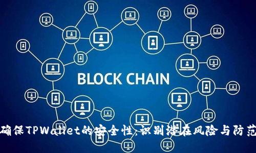 如何确保TPWallet的安全性：识别潜在风险与防范措施
