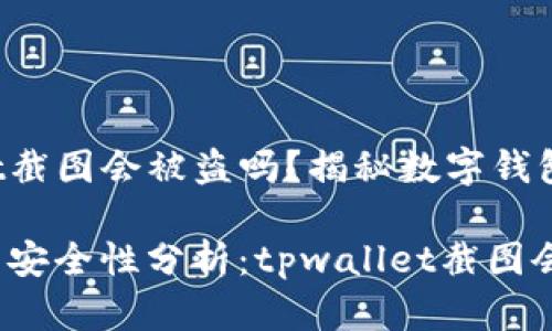 tpwallet截图会被盗吗？揭秘数字钱包安全性

数字钱包安全性分析：tpwallet截图会被盗吗？