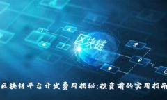 区块链平台开发费用揭秘：投资前的实用指南