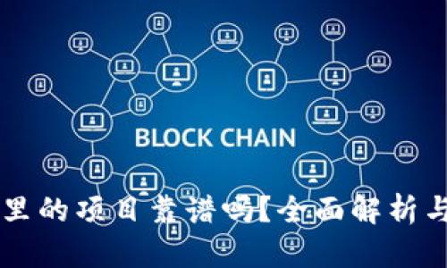 TPWallet里的项目靠谱吗？全面解析与个人见解