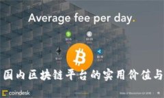 全面解析国内区块链平台的实用价值与前景展望