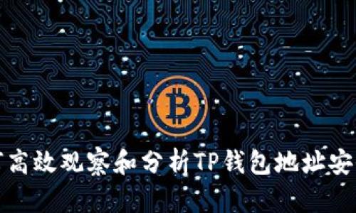  如何高效观察和分析TP钱包地址安全性？