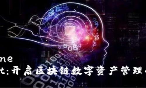 bone/bone
TPWallet：开启区块链数字资产管理的新时代