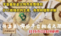 探索区块链的未来：哪些平台拥有无限发展空间