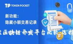 : 2023年最佳区块链开发平台比较：选择你的理想