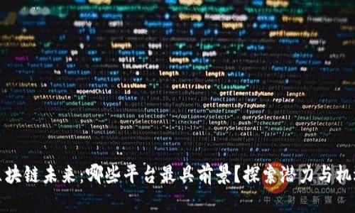 区块链未来：哪些平台最具前景？探索潜力与机遇