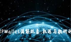全面解析TPWallet满额现象：机遇与挑战的双面思考