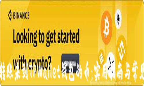 
如何查询转账未到TPWallet钱包的币：实用指南与常见问题解答