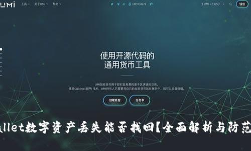 tpwallet数字资产丢失能否找回？全面解析与防范措施