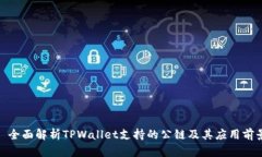 : 全面解析TPWallet支持的公链及其应用前景