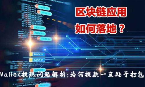 TPWallet提现问题解析：为何提款一直处于打包中？