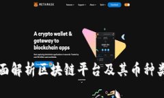 全面解析区块链平台及其币种类型