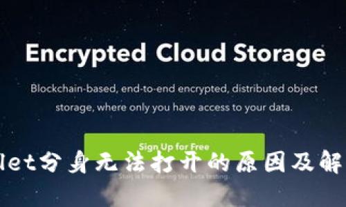 TPWallet分身无法打开的原因及解决方法