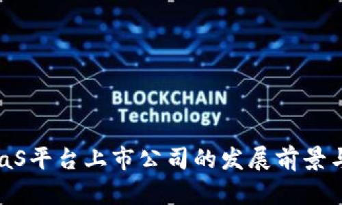 区块链BaaS平台上市公司的发展前景与市场机会