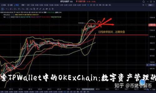 深入探索TPWallet中的OKExChain：数字资产管理的新方向