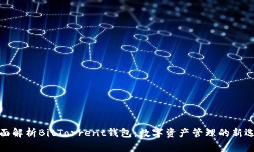 全面解析BitTorrent钱包：数字资产管理的新选择