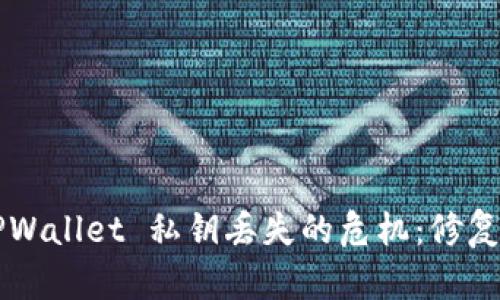 如何有效应对 TPWallet 私钥丢失的危机：修复、预防与应对策略