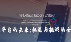 区块链平台的未来：机遇与挑战的全面分析